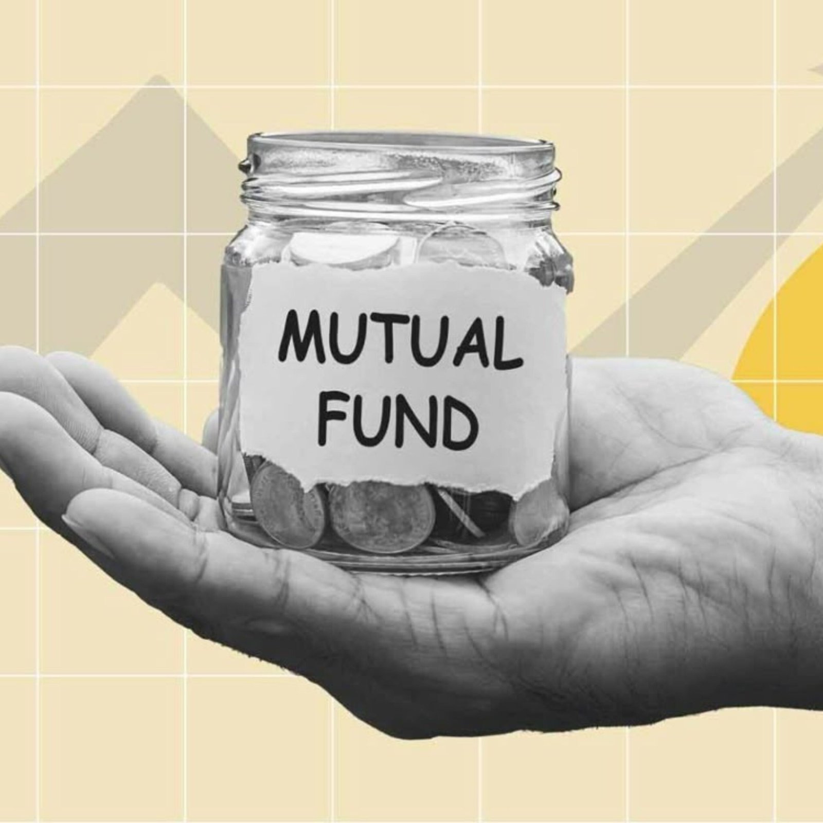finvora finance
